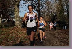 Begles 15.12.13 01 777 * 679 x 453 * (165KB)